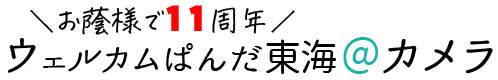 ぱんだ東海@カメラ