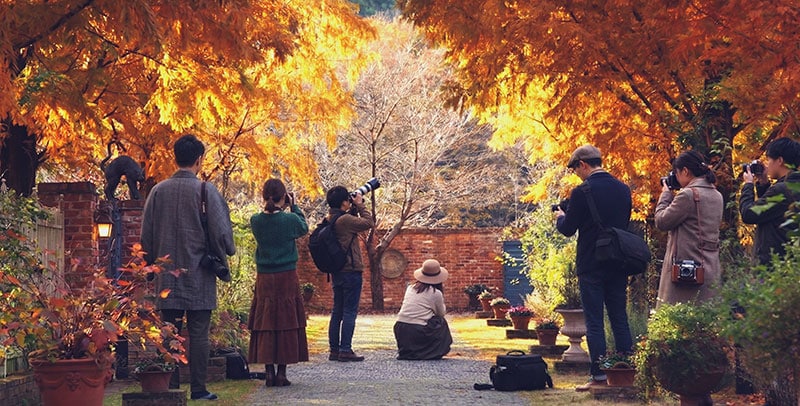 サークル仲間でお散歩撮影会